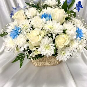 White cloud G1-42066