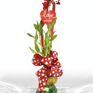 Love potion G1-42054