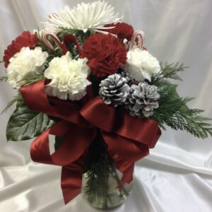 Red and white carnation G1-42073