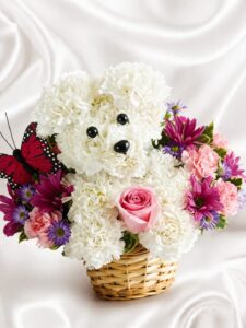 White Puppy love